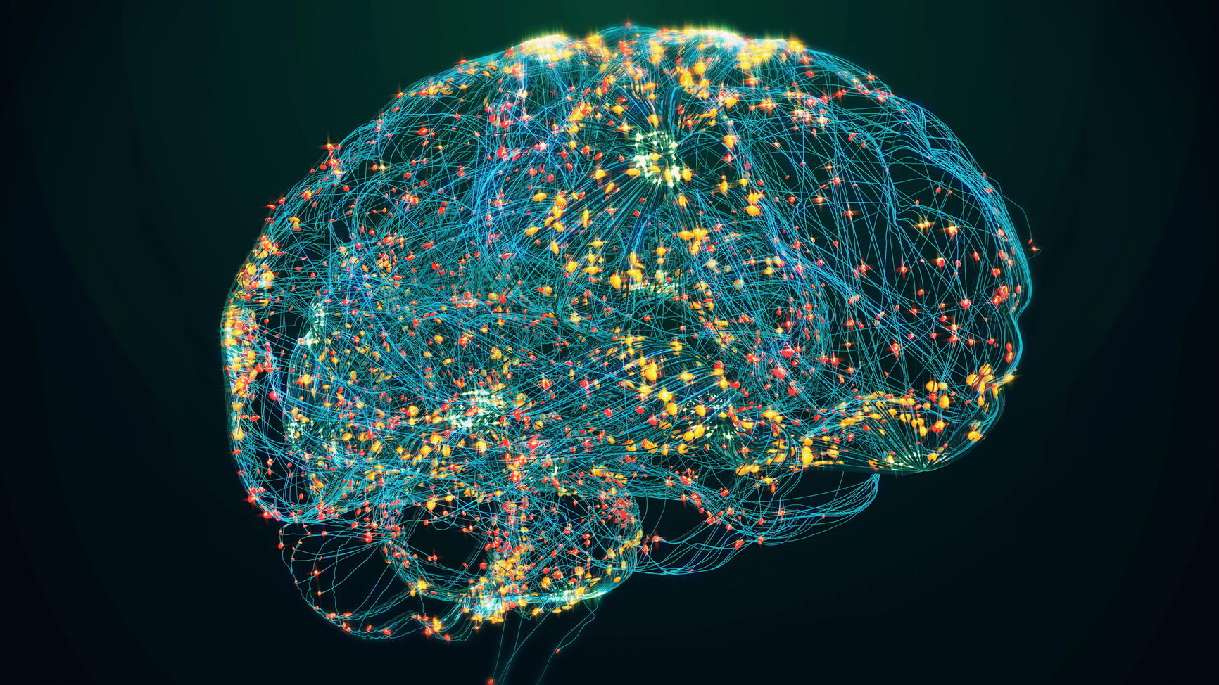 human brain scan showing brain activity