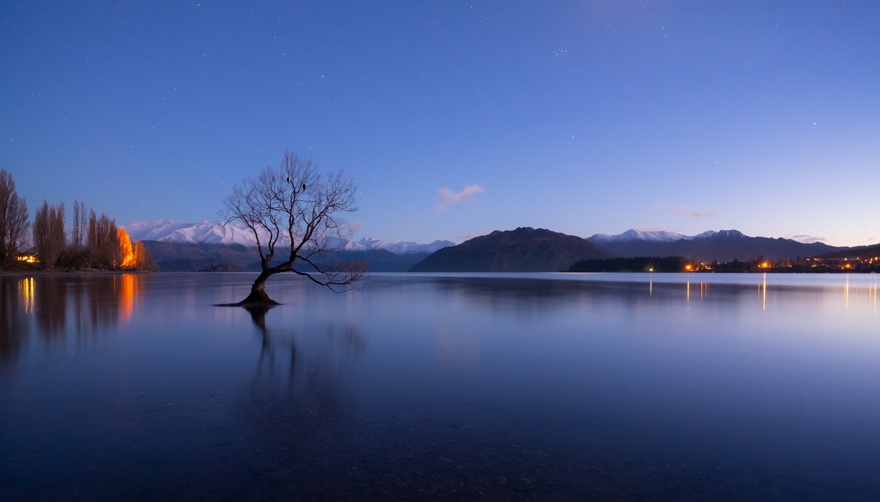 With dawn approaching, stars twinkle in the sky above the famous tree at Lake Wanaka, on New Zealand's South Island.
