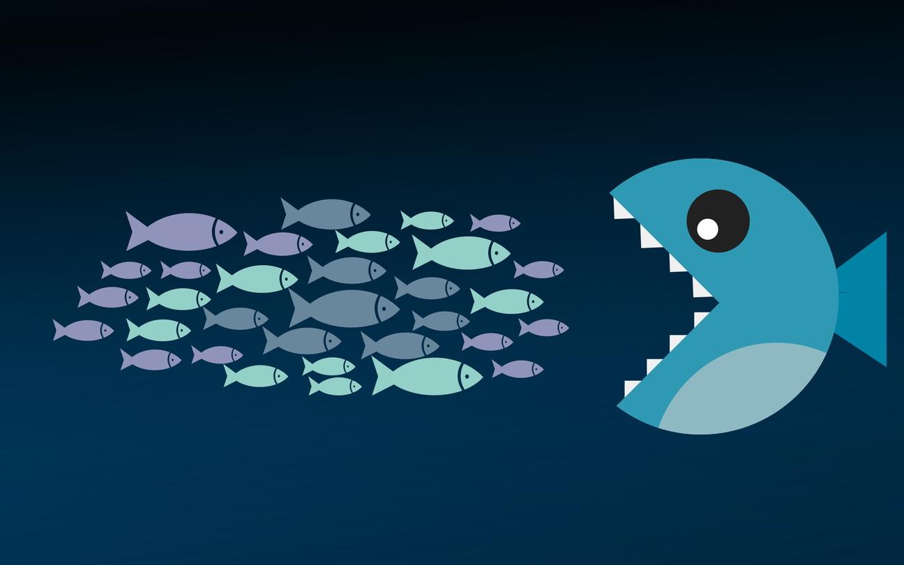 Big Fish Eating Smaller Fish